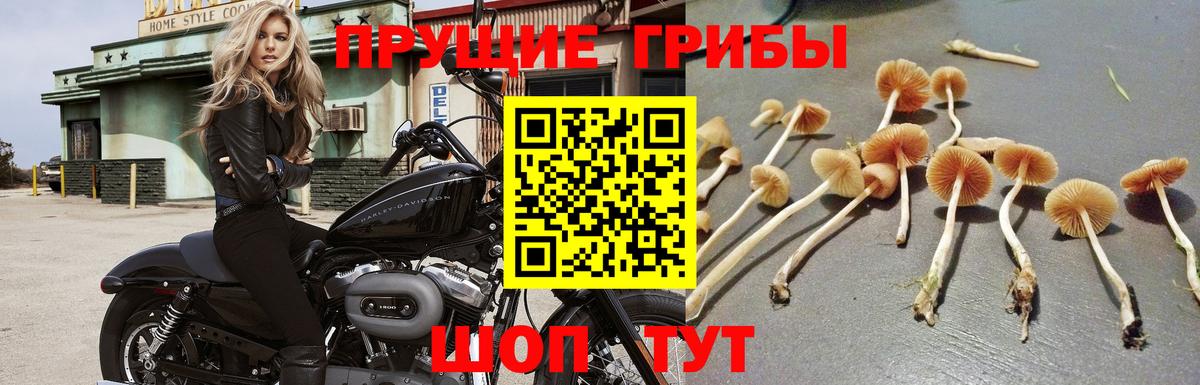 Галлюциногенные грибы Magic Shrooms Семёнов